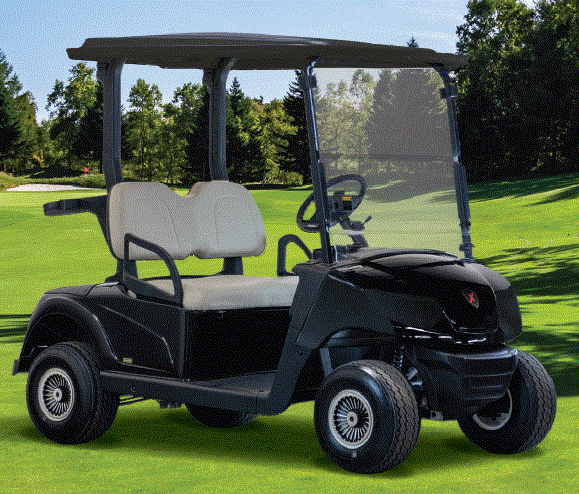 Picture of MadJax X2 - Electric (lithium) - Golf version - Standard configuration